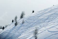 Tiefschnee